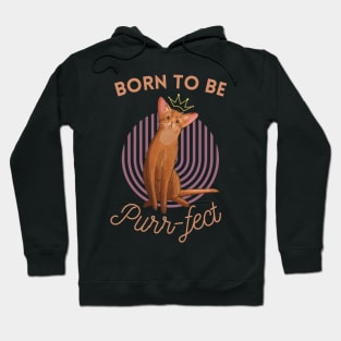Born to be Purr-fect - Abyssinian Cat Lover Hoodie